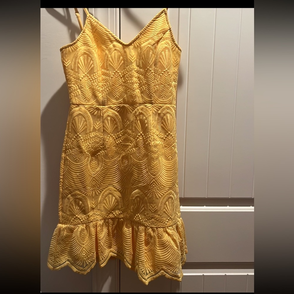 Lulus Shura Embroidered Sleeveless Dress Size X-Small View 4